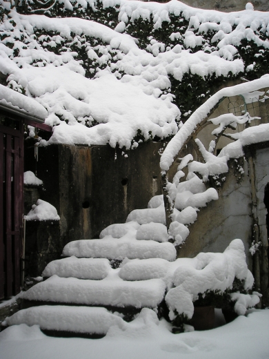 Premières neiges saison 2008/2009