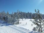 WinterWonderLand