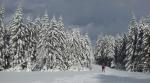Ski de fond près de La Stèle