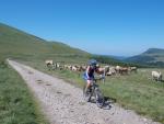 Entre Col de Guéry et le Col de St. Laurent