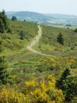 Descente vers Pessade