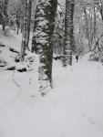 Chemin des mille gouttes