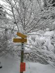 Uitgezette sneeuwschoenwandeling