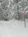 Uitgezette sneeuwschoenwandeling