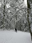 Sneeuwschoenwandelaars