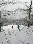 Sneeuwschoenwandelaars