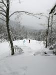 Sneeuwschoenwandelaars
