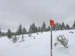 Uitgezette sneeuwschoenwandeling