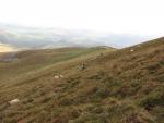 Plateau de Durbise