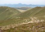 View on the Chaîne des Puys
