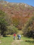 Autumn in the Vallée de Chaudefour
