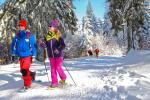 Uitgezette sneeuwschoenwandeling