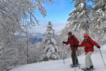 Sneeuwschoenwandeling