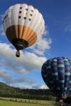 Luchtballonvaren