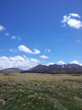 Plateau de Guéry