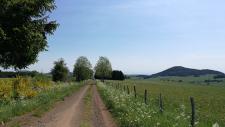 Chemin VTT proche de Pessade