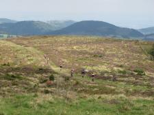 Descente vers Pessade