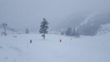La neige fraîche sur les pistes de ski